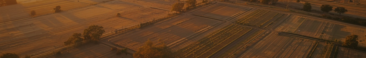 land transition