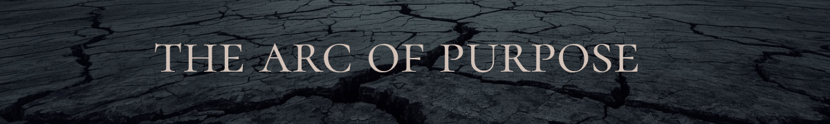 the arc of purpose